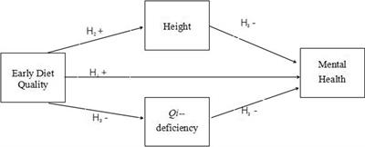 The influence of early diet quality on the mental health of college students: the mediation effects of height and qi-deficiency